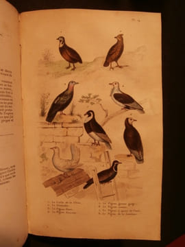 Oeuvres complètes de Buffon, avec les suppléments, augmentés de la classification de Cuvier, 9 tomes. Georges-Louis Leclerc comte de Buffon
