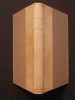 La peinture. Tristan L. Klingsor