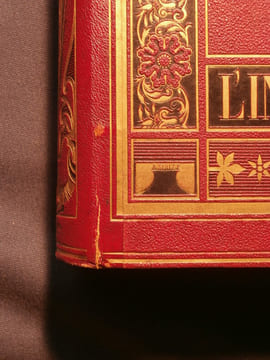L'Inde des rajahs, voyage dans l'Inde centrale et des les présidences de Bombay et du Bengale. Louis Rousselet