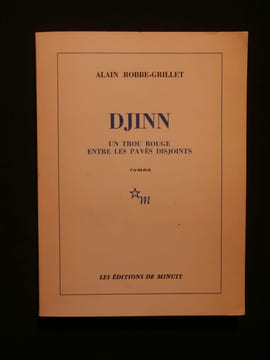 Djinn, un trou rouge dans les pavés disjoints. Alain Robbe Grillet