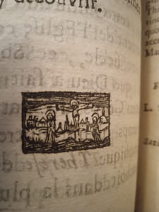 La vie de sainte Marie Magdeleine de Pazzi, religieuse de l’Ancienne Observance de l’Ordre de N. Dame du Mont Carmel, décédée à Florence le 25. de may 1607, béatifiée par Urbain VIII. 1627 et canonisée par Clément IX. 1669. Douai, Michel Mairesse, troisième édition, 1714.
