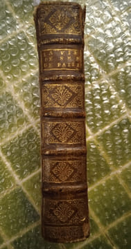 La vie de sainte Marie Magdeleine de Pazzi, religieuse de l’Ancienne Observance de l’Ordre de N. Dame du Mont Carmel, décédée à Florence le 25. de may ...