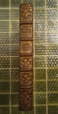Les Œuvres de Sainte Thérèse, Seconde Partie.
Paris, Pierre Le Petit, 1670 ou 1671.