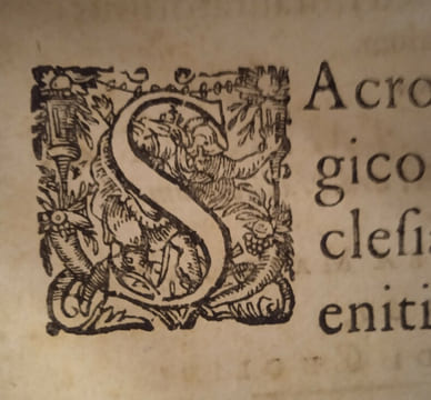 Paradisus concionatorum tetralogiae mysticae, Sive Quatuor Sermones Praedicabiles, Interdum vero plures, ex utroque Testamento S. Scripturae & ...