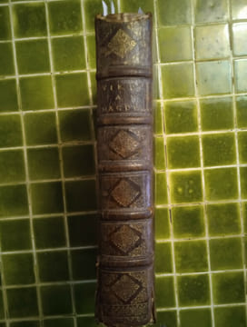 La Vie de la Mère Magdeleine de S. Joseph, Religieuse Carmélite Déchaussée, de la première Règle selon la Réforme de Sainte Thérèse. Par un Prestre de ...
