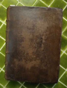 La Vie de la Mère Magdeleine de S. Joseph, Religieuse Carmélite Déchaussée, de la première Règle selon la Réforme de Sainte Thérèse. Par un Prestre de ...