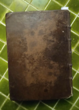 La Vie de la Mère Magdeleine de S. Joseph, Religieuse Carmélite Déchaussée, de la première Règle selon la Réforme de Sainte Thérèse. Par un Prestre de ...