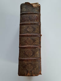 Lettres de Ste Térèse de Jésus, Mère & Fondatrice de la Réforme de l’Ordre de Notre-Dame du Mont-Carmel, de l’Observance primitive. Avec les Remarques du R.P. Pierre de l’Annonciation, Lecteur en Théologie dans le Couvent des Carmes déchaussez de Pampelone. Recueillies par les ordres du R. Père Diègue de la Présentation, autre-fois Général des Carmes déchaussez. [… ] Traduites d’Espagnol en François par le R.P. Pierre de la Mère de Dieu, de la Province Valonne des Carmes déchaussez aux Pays-bas, de la Congrégation d’Italie. 