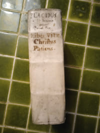 Liber vitae Christus patiens Scriptus intùs & foris sive de perpetua Cruce Domini Jesu, praesertim interiori tractatus. Bruxelles, Martin de Bossuyt, 1651.