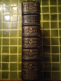 BREVIARIUM ORDINIS FRATRUM […] de Monte Carmelo […]. Pars Hyemalis. Anvers, Apud Franciscum Muller, 1735.

