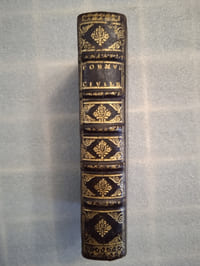 Formules d’actes et de procédures pour l’exécution de l’Ordonnance de Louis XIV. Roy de France & de Navarre. Donné à Saint Germain en Laye au mois d’Avril 1667. Dressées par ordre de Sa Majesté, & vûës par Nosseigneurs les Commissaires de la Reformation.