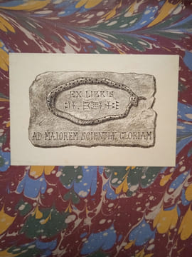 Les noms propres assyriens. Recherches sur la formation des expressions idéographiques.. MÉNANT, Joachim.
