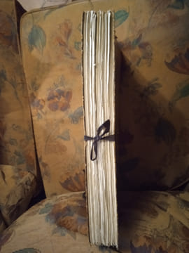 Famille Royale d'Orléans et notabilités du Règne du Roi Louis-Philippe. . [FROND, Victor.]