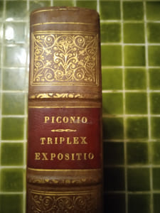 Epistolarum B. Pauli Apostoli Triplex expositio. Analysi, Qua textus Apostolici ordo & connexio declaratur - Paraphrasi, Qua mens Apostoli breviter exponitur & clarè - Commentario, Ubi litterales nota, varia lectiones, sensusque Textui conformiores afferuntur. Paris, Jean Anisson, 1703.
