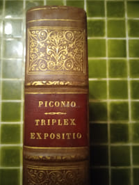 Epistolarum B. Pauli Apostoli Triplex expositio. Analysi, Qua textus Apostolici ordo & connexio declaratur - Paraphrasi, Qua mens Apostoli breviter exponitur & clarè - Commentario, Ubi litterales nota, varia lectiones, sensusque Textui conformiores afferuntur. Paris, Jean Anisson, 1703.
