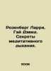 Larry Rosenberg, Guy David. Secrets of meditative breathing. In Russian /Rozenb. Berg, Ludwig Wilhelm Christian van den