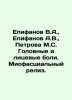 Epifanov V.A.  Epifanov A.V.  Petrova M.S. Headaches and facial pain. Myophasal. Epifanov  A.N.