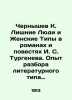 Chernyshev K. Excess People and Female Types in Novels and Novels by I. S. Turg. Chernyshev, Konstantin Vasilievich