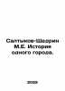 Saltykov-Shchedrin M.E. History of one city. In Russian /Saltykov-Shchedrin M.E. Mikhail Saltykov-Shchedrin