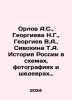 Orlov A.S.,  Georgieva N.G.,  Georgiev V.A.,  Sivokhina T.A. The history of Ru. Orlov, Alexander Sergeevich