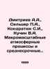 Dmitriev A.A.,  Seltser P.A.,  Kondratyuk S.I.,  Kuchin V.A. Macro-scale atmosp. Dmitriev, Alexander Alekseevich