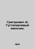 Grigorovich D. Guttaperchevy boy. In Russian /Grigorovich D. Guttaperchevyy mal. Dmitry Grigorovich