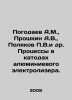 Pogodaev A.M.,  Proshkin A.V.,  Polyakov P.V.et al. Processes in aluminum elect. Polyakov, Petr Ivanovich