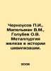 G. Chernousov, V.M. Mapelman, O.V. Golubev Iron metallurgy in the history of ci. Usov, Pavel Stepanovich