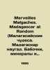 Merveilles Malgaches. Madagascar at Random. Madagascar at random. Butterflies  m. 