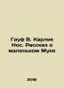 Gauf W. Dwarf Nose. A Tale of Little Flour In Russian /Gauf V. Karlik Nos. Rass. Wilhelm Hauf