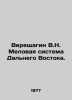 Vereshchagin V.N. Cretaceous system of the Far East. In Russian /Vereshchagin V. Vereshchagin, Vasily Andreevich