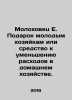 Molokhovets E. A gift to young housewives or a means to reduce household costs.. Molokhovets, Elena Ivanovna