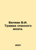 V.I. Belyaev spinal cord injury. In Russian /Belyaev V.I. Travma spinnogo mozga. Vladimir Belyaev
