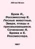 Brem A.,  Rossmessler E. Forest animals. Beasts, birds and reptiles. Writing by. Alfred Brem
