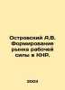 A.V. Ostrovsky Formation of the Labor Market in the PRC. In Russian /Ostrovskiy. Alexander Ostrovsky