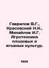 Gavrilov V.G.,  Krasovsky N.K.,  Mikhailov I.G. Agricultural techniques of frui. Krasovsky, Nikolay Ivanovich