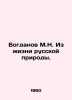 Bogdanov M.N. From the Life of Russian Nature. In Russian /Bogdanov M.N. Iz zhi. Bogdanov, Modest Nikolaevich