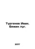 Turgenev Ivan. Bein meadow. In Russian /Turgenev Ivan. Bein lug.. Turgenev, Ivan Sergeevich