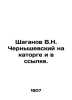 V.N. Chernyshevsky Shaganov on hard labor and exile. In Russian /Shaganov V.N. . Chernyshevsky, Nikolay Gavrilovich
