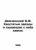 Demchinsky B.F. Tail stars and stones falling from the sky. In Russian /Demchin. Demchinsky, Boris Nikolaevich