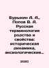 Burykin A. A.,  Popov V. A. Russian terminology of kinship and properties: hist. Popov, Vasily Timofeevich