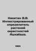 Nikitin V.V. Illustrated identifier of plants around Ashgabat. In Russian /Niki. Nikitin, Victor Nikitich