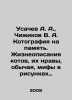 Usachev A. A., Chizhikov V. A. Kotography for Memory. Life descriptions of cat. Andrey Usachev