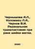 Chernyshova A.L.,  Kolomiets L.A.,  Chernov V.I. Radical trachelectomy for cerv. Chernov, Viktor Mikhailovich