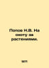 N.V. Popov on the hunt for plants. In Russian /Popov N.V. Na okhotu za rasteniy. Popov, N.P.