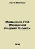 G. Melnikov (Andrei Pechersky). In the forests. In Russian /Melnikov G. (Pecher. Pavel Melnikov