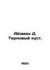 Eisman D. Thorn bush. In Russian /Ayzman D. Ternovyy kust.. Aizman, David Yakovlevich