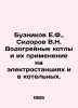 E.F. Buznikov, V.N. Sidorov Water-heating boilers and their application in powe. Sidorov, Vasily Mikhailovich