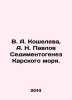V. A. Kosheleva, A. N. Pavlov Sedimentogenesis of the Kara Sea. In Russian /V. . Koshelev, Alexander Ivanovich