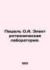 Peshel O.A. Electrical Laboratory. In Russian /Peshel O.A. Elektrotekhnicheskay. Peschel, Oscar